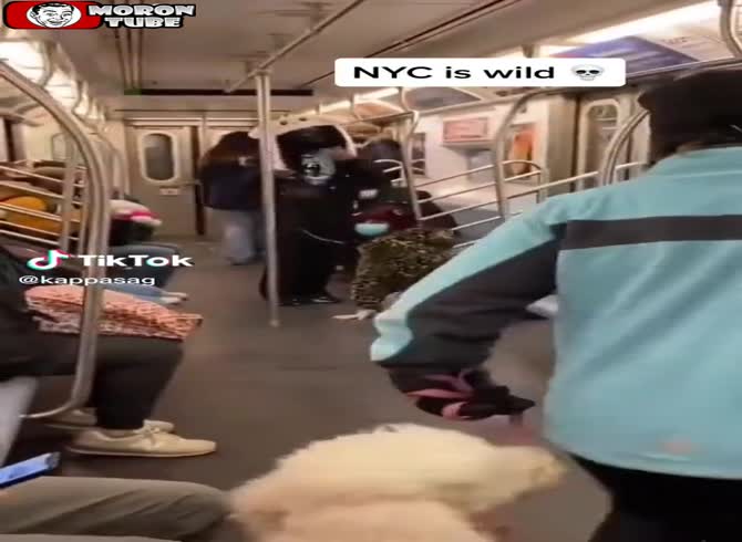 Video :In New York, he walks his bitch